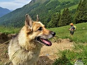 24 Usciti dal bosco in decisa salita su verdi pratoni carichi d'erba